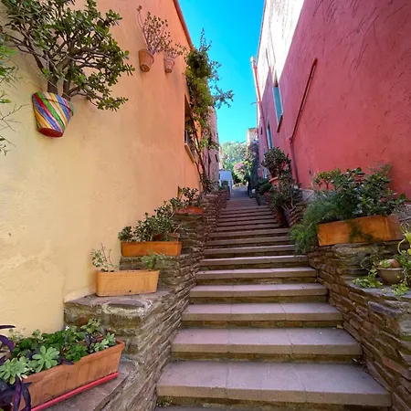 Azur-les Pieds Dans L'eau-vue Sur Et Clocher De En Toile De Fond - Wifi Fibre- Parking Couvert Collioure
